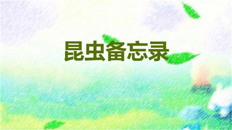 《昆虫备忘录》PPT精品课件下载