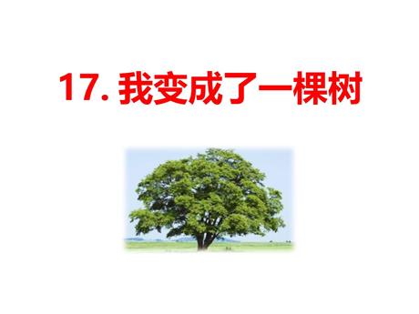 《我变成了一棵树》PPT精品课件下载