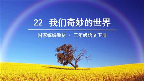 《我们奇妙的世界》PPT优质课件下载