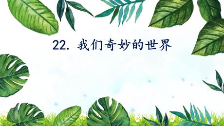 《我们奇妙的世界》PPT优秀课件下载