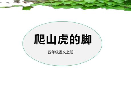 《爬山虎的脚》PPT优质课件