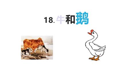 《牛和鹅》PPT精品课件下载