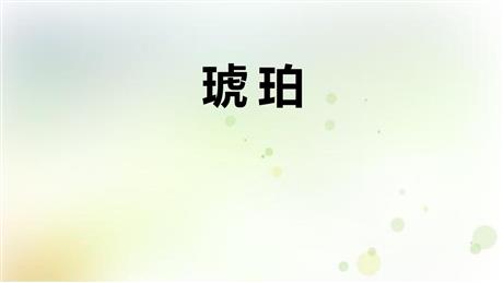 《琥珀》PPT精品课件下载