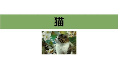 《猫》PPT教学课件(第1课时)