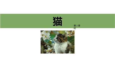 《猫》PPT教学课件(第2课时)