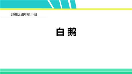 《白鹅》PPT精品课件