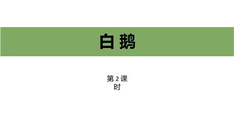 《白鹅》PPT教学课件(第2课时)