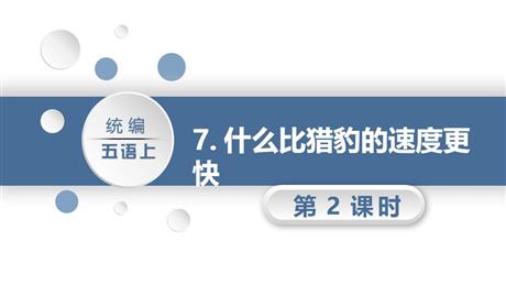 《什么比猎豹的速度更快》PPT教学课件(第2课时)