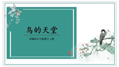 《鸟的天堂》PPT精品教学课件