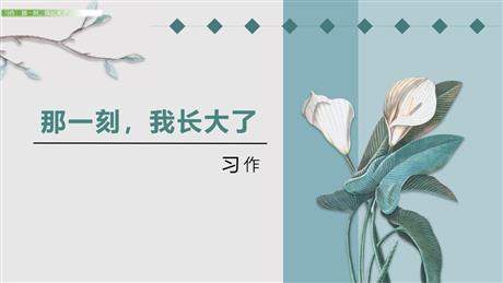 《那一刻，我长大了》PPT课件