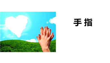 《手指》PPT课文课件