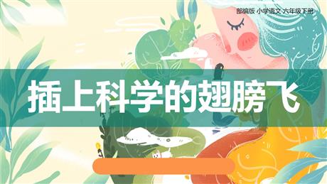 《插上科学的翅膀飞》PPT优质课件