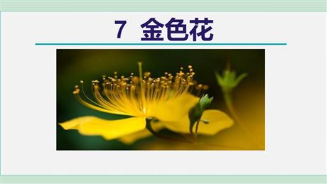 《金色花》PPT课文课件下载