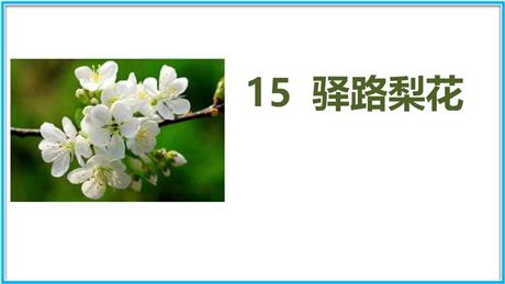 《驿路梨花》PPT课文课件