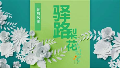 《驿路梨花》PPT精品课件下载