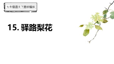 《驿路梨花》PPT优质课件下载