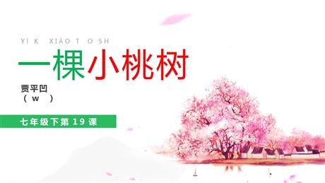 《一棵小桃树》PPT精品课件下载