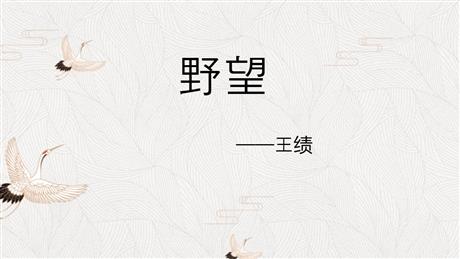 《野望》PPT精品课件