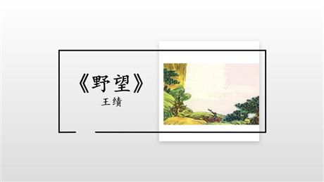 《野望》PPT优质课件