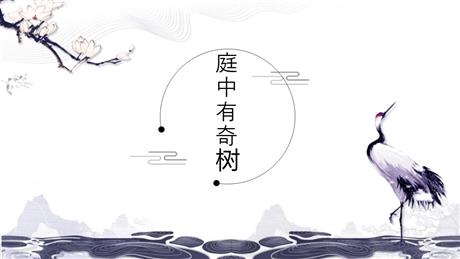 《庭中有奇树》课外古诗词诵读PPT下载