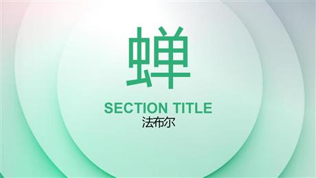 《蝉》PPT精品课件下载