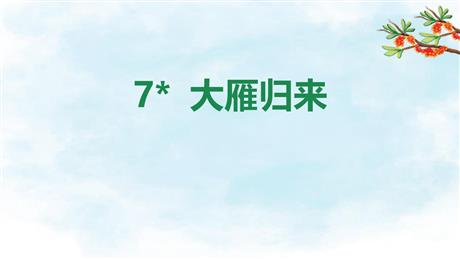 《大雁归来》PPT优秀课件
