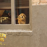 神探狗笨吉 Benji