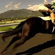 鸿运赛马 Luck