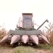 玉米田的小孩2 Children of the Corn II: The Final Sacrifice