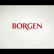 权力的堡垒 第二季 Borgen Sæson 2