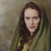 养鸽人 The Dovekeepers