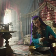 养鸽人 The Dovekeepers