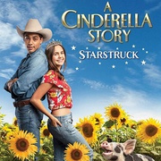 灰姑娘的故事：明星之恋 A Cinderella Story: Starstruck