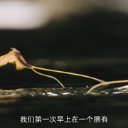 打破边界：我们星球的科学 Breaking Boundaries: The Science of Our Planet