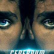 记忆误区 Cerebrum