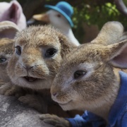 比得兔2：逃跑计划 Peter Rabbit 2: The Runaway