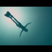 深宅 The Deep House