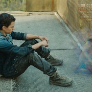 混沌行走 Chaos Walking