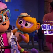 点击查看图片 蜜熊的音乐奇旅 Vivo