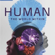 点击查看图片 人类:体内的世界 Human: The World Within