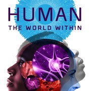 点击查看图片 人类:体内的世界 Human: The World Within
