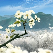 枕刀歌