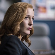 X档案 第十季 The X-Files Season 10