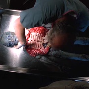 点击查看图片 X档案 第四季 The X-Files Season 4