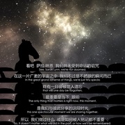马男波杰克 第三季 BoJack Horseman Season 3