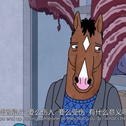 马男波杰克 第三季 BoJack Horseman Season 3