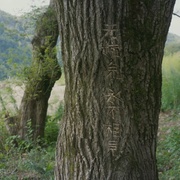 大唐小吃货