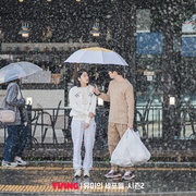 柔美的细胞小将 第二季 유미의세포들 시즌2