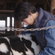 总而言之只是在结婚申请书上盖个章 とにかく婚姻届に判を捺したいだけですが