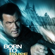 天罡星下凡 Born to Raise Hell